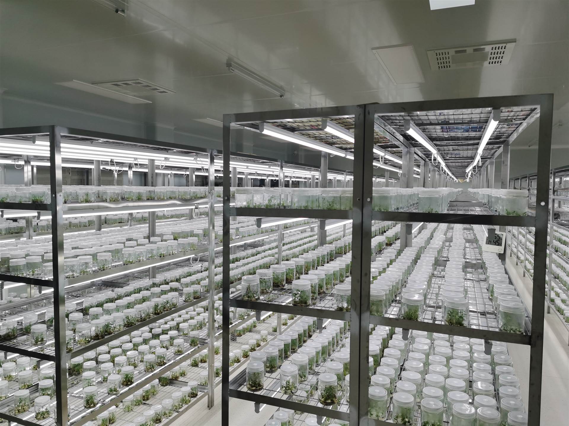 組培室凈化工程該如何設計？設計等級是什么？